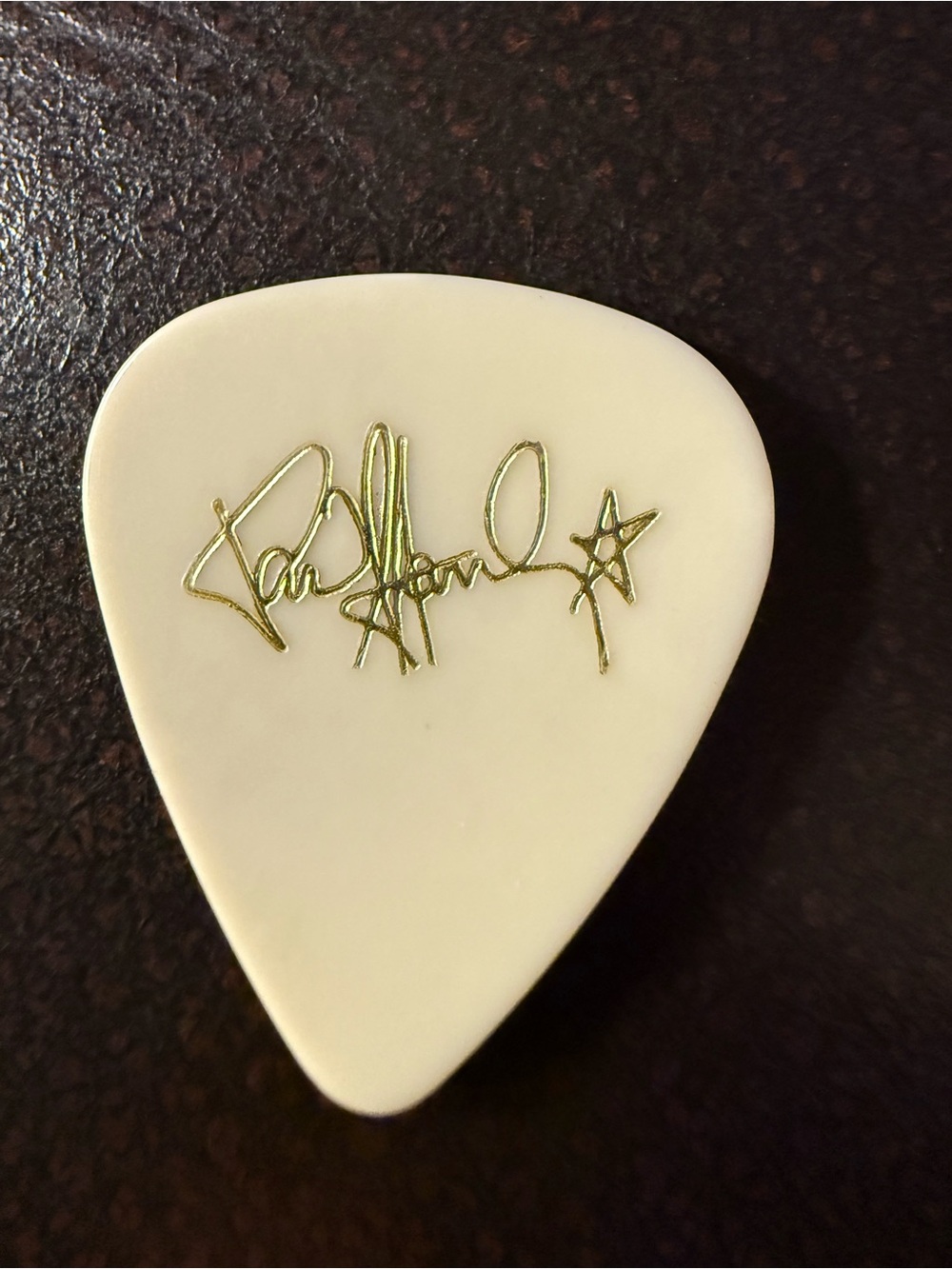 Paul Stanley 1989 Solo Tour Guitar Pick